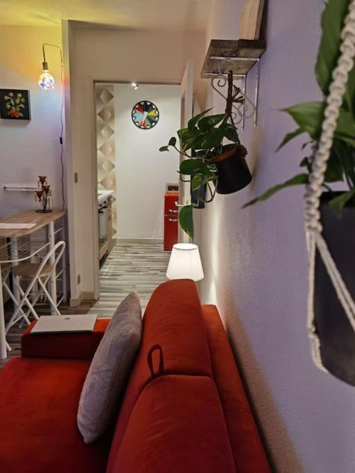 Cosy T1Bis Proche Centreville, Petit Port, Audencia 南特 外观 照片